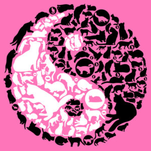 Ying Yang Cats - Softstyle™ women's v-neck t-shirt - Softstyle™ women's ringspun t-shirt Design