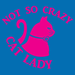 Not So Crazy Cat Lady - College Hoodie Design