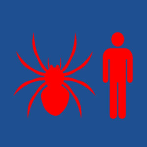Spiderman  - Softstyle™ women's ringspun t-shirt Design