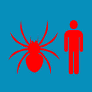 Spiderman  - Softstyle™ youth ringspun t-shirt Design