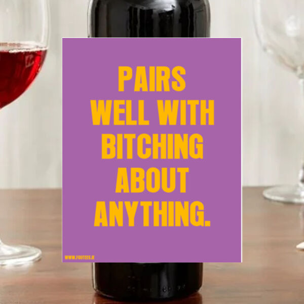 Pairs well with bi**hing about anything - Wine Bottle Sticker Thumbnail