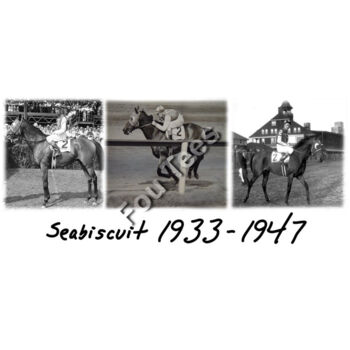 Seabiscuit Thumbnail