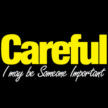 Careful I May Be Someone Important Thumbnail