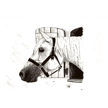 Lookout Horse Thumbnail
