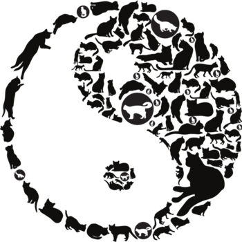 Yin Yang Cats Thumbnail