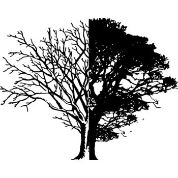 Life and Death Thumbnail