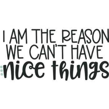 Im the reason we can't have nice things Thumbnail