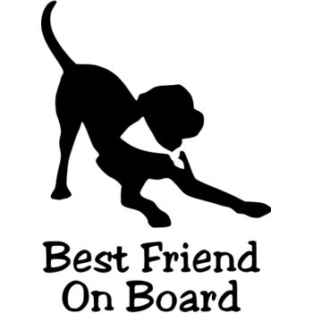 Best Friend on Board Thumbnail