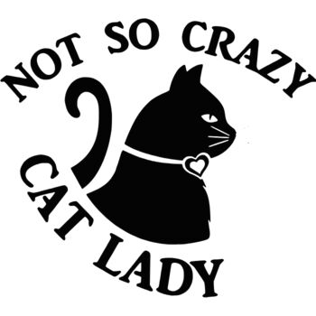 Not so Crazy Cat Lady Thumbnail
