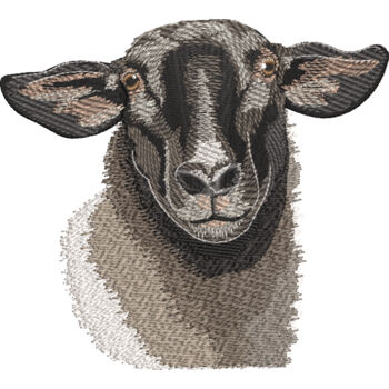 Suffolk Sheep Thumbnail