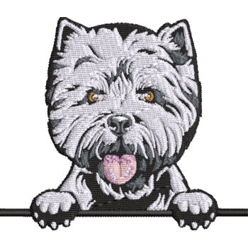West Highland Terrier Thumbnail
