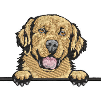 Golden Retriever Thumbnail