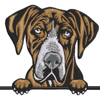 Great Dane Thumbnail