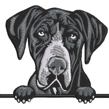 Great Dane Gray Thumbnail