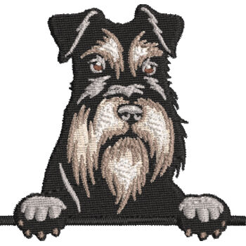 Mini Schnauzer Thumbnail