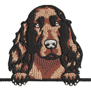 Red Setter Thumbnail