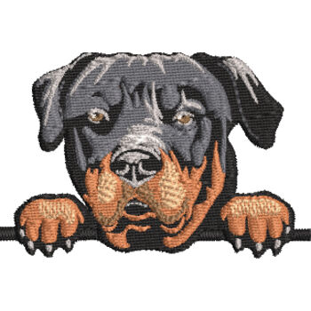 Rottweiler Thumbnail