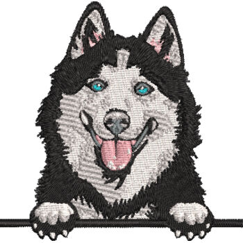 Husky Thumbnail