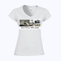 Softstyle™ women's v-neck t-shirt Thumbnail
