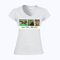 Softstyle™ women's v-neck t-shirt Thumbnail