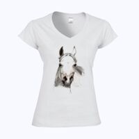 Softstyle™ women's v-neck t-shirt Thumbnail