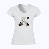 Softstyle™ women's v-neck t-shirt Thumbnail