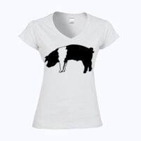 Softstyle™ women's v-neck t-shirt Thumbnail