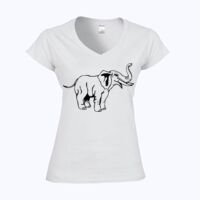 Softstyle™ women's v-neck t-shirt Thumbnail