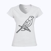 Softstyle™ women's v-neck t-shirt Thumbnail