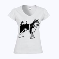 Softstyle™ women's v-neck t-shirt Thumbnail