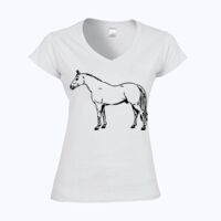 Softstyle™ women's v-neck t-shirt Thumbnail