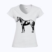 Softstyle™ women's v-neck t-shirt Thumbnail