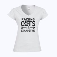 Softstyle™ women's v-neck t-shirt Thumbnail
