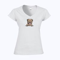 Softstyle™ women's v-neck t-shirt Thumbnail