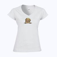 Softstyle™ women's v-neck t-shirt Thumbnail