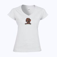 Softstyle™ women's v-neck t-shirt Thumbnail