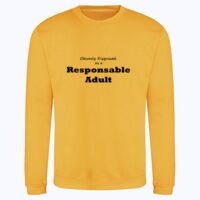 AWDis sweatshirt. Thumbnail