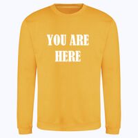 AWDis sweatshirt. Thumbnail
