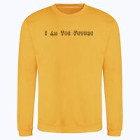 AWDis sweatshirt. Thumbnail