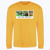 AWDis sweatshirt. Thumbnail