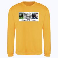 AWDis sweatshirt. Thumbnail
