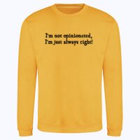 AWDis sweatshirt. Thumbnail