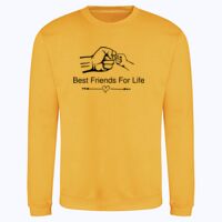 AWDis sweatshirt. Thumbnail