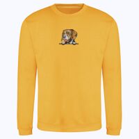AWDis sweatshirt. Thumbnail