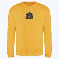 AWDis sweatshirt. Thumbnail