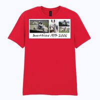 Softstyle™ adult ringspun t-shirt Thumbnail