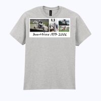 Ultra Cotton™ adult t-shirt Thumbnail
