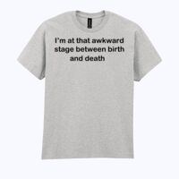 Ultra Cotton™ adult t-shirt Thumbnail