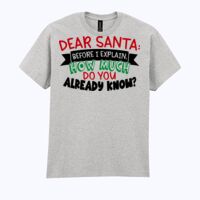 Ultra Cotton™ adult t-shirt Thumbnail