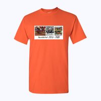 Heavy Cotton™ adult t-shirt Thumbnail